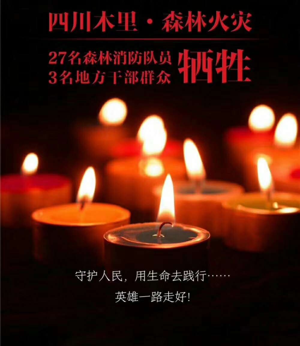 1554780481951321.jpg 配圖1.jpg