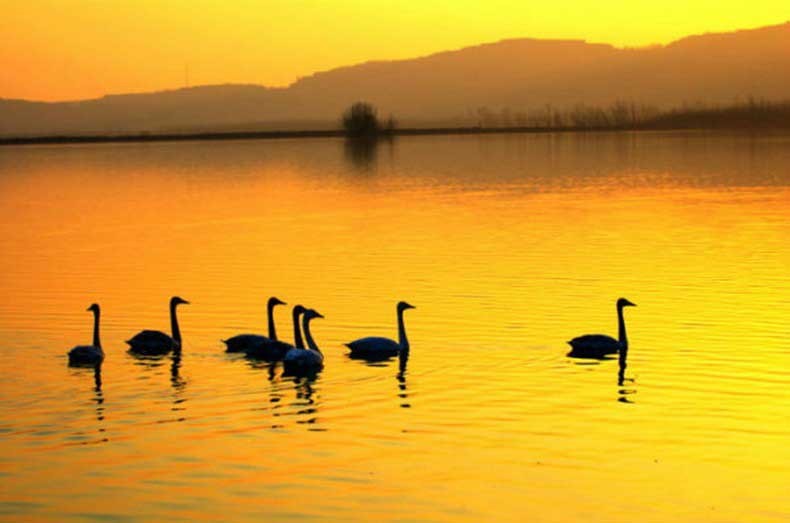 恒溫恒濕試驗箱 恒溫恒濕試驗箱